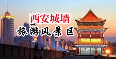 啊啊啊好大好舒服中国陕西-西安城墙旅游风景区