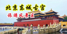 中文无码高清骚B嫩穴中国北京-东城古宫旅游风景区